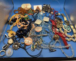 Fashion jewelry. Brooches