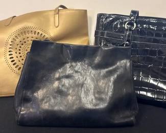 Neiman Marcus Tote Laptop Bag and Monsac Leather Purse