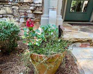 Terracotta planter pot with geraniums, live plant included