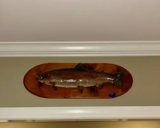 Mounted rainbow trout taxidermy fish on wood plaque