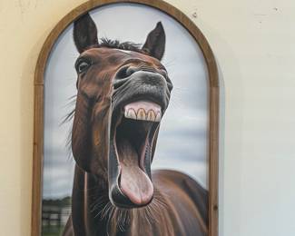 Super cute horse picture