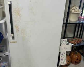 Upright freezer - Looks bad but works good