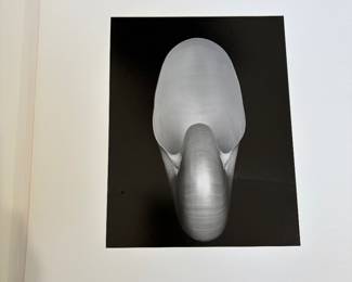 Edward Weston / Cole Weston Nautilus photograph  Framed 