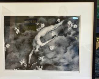 LYNN BIANCHI FRAMED FINE ART PHOTOGRAPHY "POINSETTIA SKY" NUMBERED 2/12
