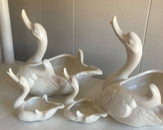 Hull swans