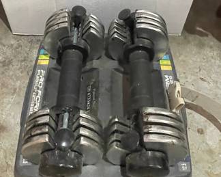 ProForm Fusion 12.5 Adjustable Dumbbells