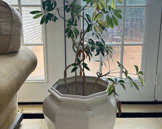 Octagonal White Glazed Ceramic Cachepot with Live Plant