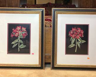 Rhododendron Botanical Prints 