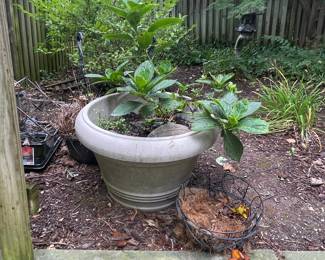 Large Concrete Garden Planter