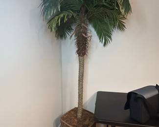 Robellini Palm Artificial Tree in Wicker Planter