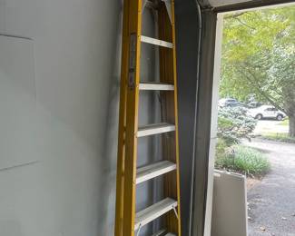 Werner Fiberglass Step Ladder