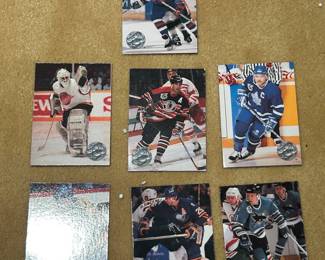 1996-97 Pinnacle Mint Collection Hockey Cards
