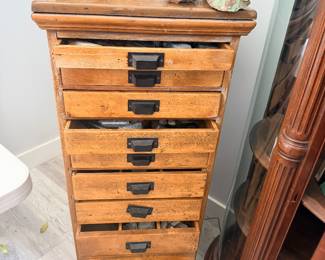 Rock and fossil dresser