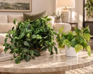 Two (2) Artificial Trailing Green Plant Displays