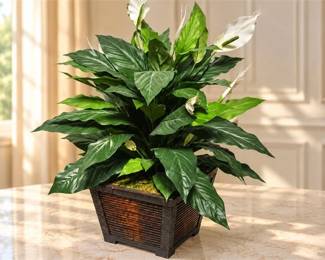 Artificial Spathiphyllum (peace lily) Plant