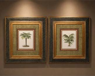 Pair of Framed Botanical Palm Tree Art Prints