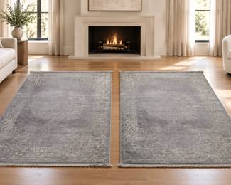 Two (2) Light Grey Medallion Area Rug