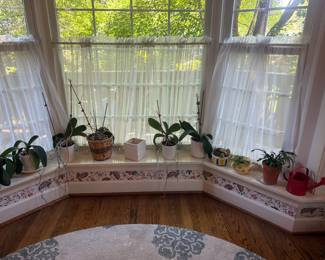 Plants for sale