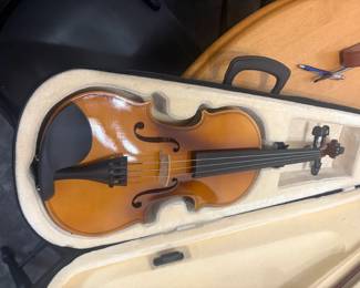 . . . violin
