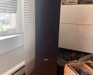 Danish speaker set