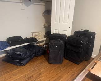 Collection of Luggage and Travel Bags