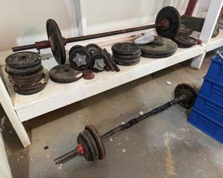 Collection of Exercise Weights