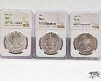 2553  3 1887 Morgan Silver Dollars