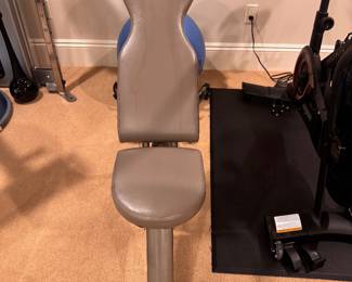 Gray weight bench
