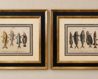 2- Vintage German prints of fishes