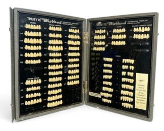 Vintage Dental Teeth Samples in Case, Oddity 
