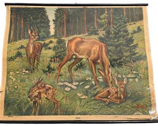 Vintage European Educational Chart, Deer Grazing