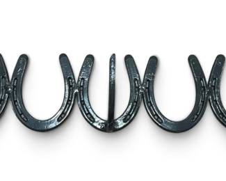 Western Folk Art Horseshoe Coat Rack