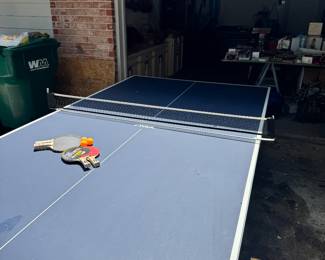 Indoor/outdoor ping pong table