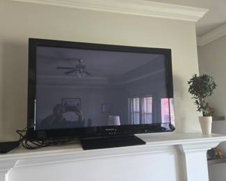 48" flat screen Panasonic TV