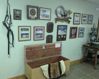 Lane Chest, Harness Racing
