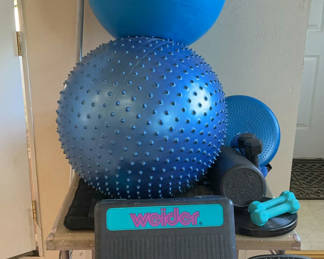 Lot 117: Home gym equipment set (balls, mats, weights, and accessories)