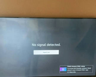 Lot 107: 55 Inch LCD TV With Wall Mount