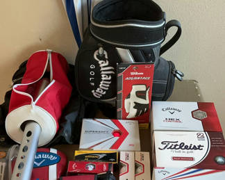 Lot 111: Golf Equipment and Accessories Collection