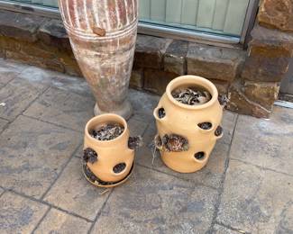 Patio Pots