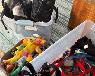 Lots of dog items xs, small harnesses