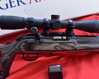 Ruger bolt action 22 with Leopold scope
