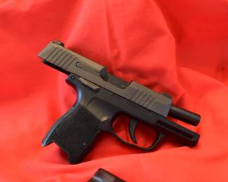 sig sauer p 365