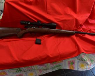 check 22 magnum bolt action burris scope fullfilled e1