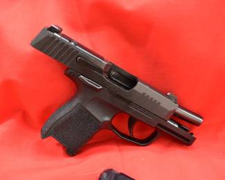 sig sauer p365