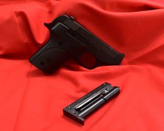 Smith & Wesson 2214 22 cal.