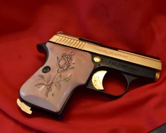 Tital tigress 25 Cal.