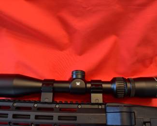 Smith & Wesson 9 mm carbine vortex scope folding