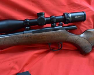 Check bolt action 22 magnum with burris scope
