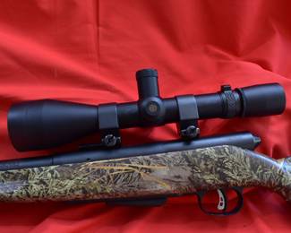 Savage model 25. 223 cal. with leupold scope