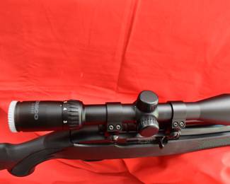 Ruger 10-22 with scope